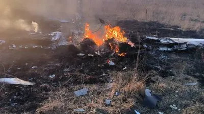 Двоє людей загинули після падіння літака у Підмосков’ї