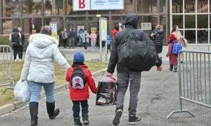 Горбатий кит знову в пастці на морській мілині в Німеччині