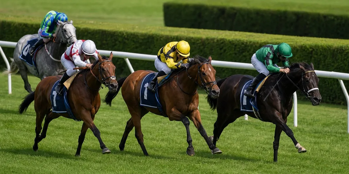Fairy Glen ma najwyższy rating wśród uczestniczek John Musker Fillies’ Stakes w Yarmouth
