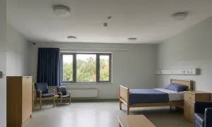 Scientists identify five biological subtypes of fatty liver disease — ScienceDaily
