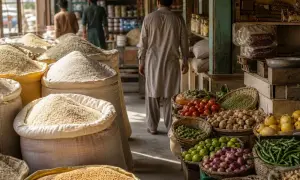 佛罗里达州记录425例本地登革热病例——The Hill