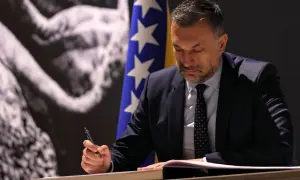 Біля узбережжя США різко побільшало акул, науковці назвали причину