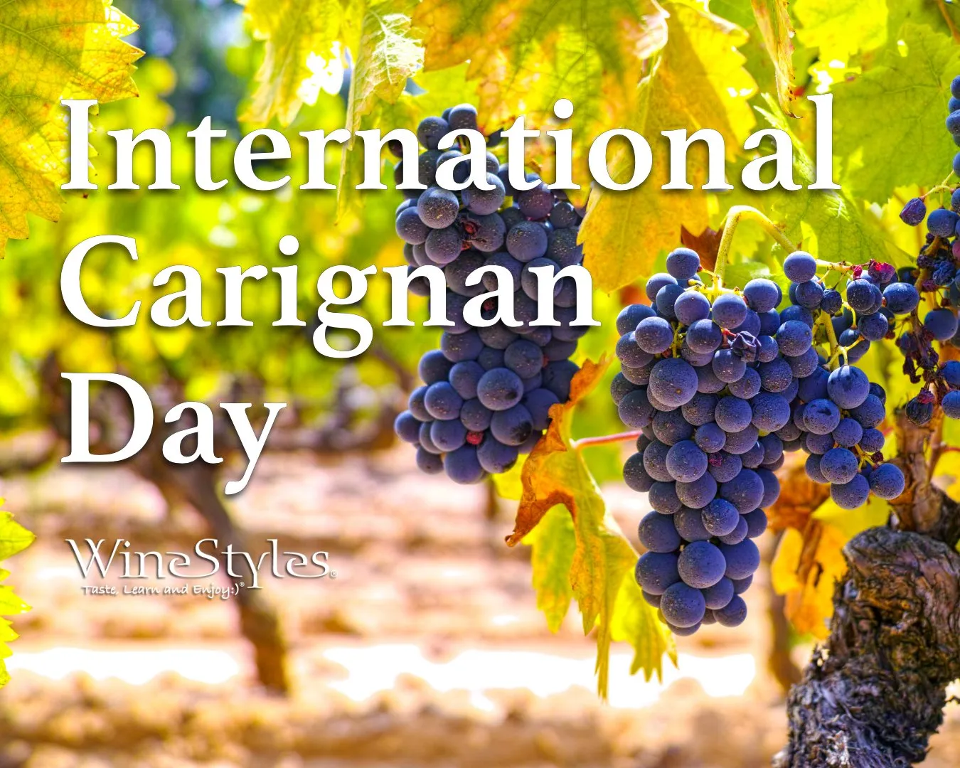 30 жовтня 2025 року — які свята ми сьогодні відзначаємо 30 жовтня 2025 року — які свята ми сьогодні відзначаємо