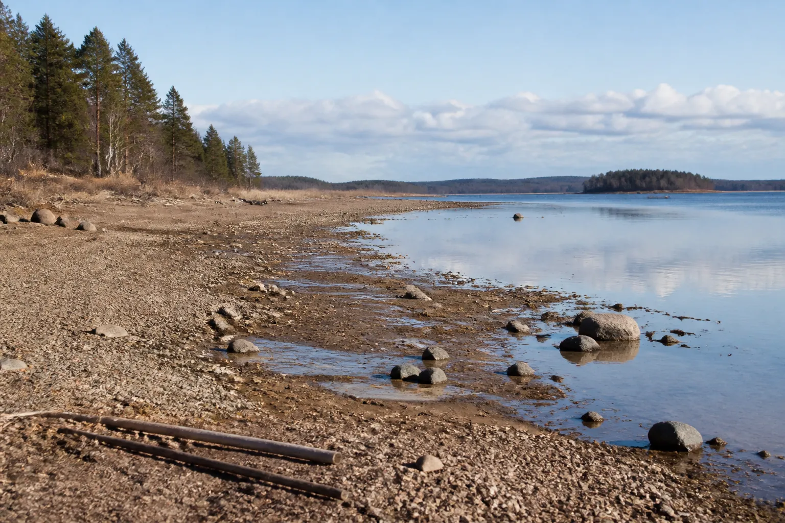 Logistical Email Examples YLE reviews droughts, floods and ecosystem changes in Finland | UA.NEWS