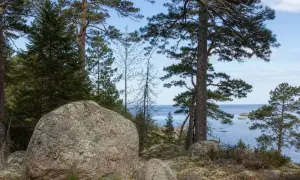 Скільки європейців готові терпіти зростання цін через війну в Україні – опитування