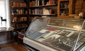 Праздник 22 июля 2026 года — День манго: история, традиции и интересные факты