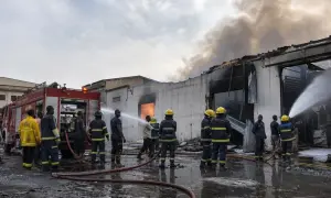 В ЕС отреагировали на убийство ученого-ядерщика в Иране