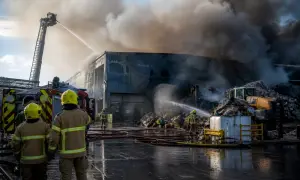 Сейм Литви затвердив Міндаугаса Сінкявічюса новим прем’єр-міністром