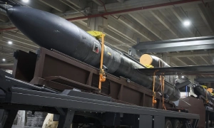 Міндічгейт:  Данія очікує від України звіт щодо діяльності Fire Point