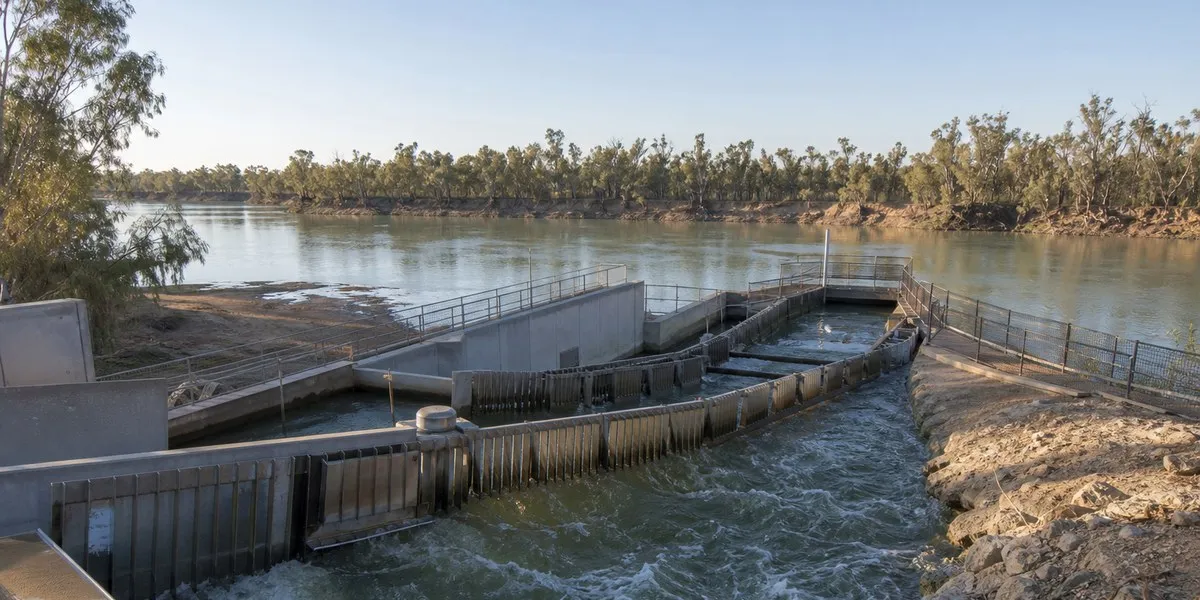 Fish passage reopens in Australia amid fish death risk — ABC News ...