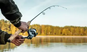 День осіннього рівнодення: коли святкують і чому він особливий?