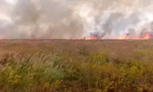 П’яний водій фури вилетів з траси на Дарниці