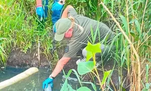 «Укрзалізниця» планирует открыть в Дарницком вокзале ТРЦ