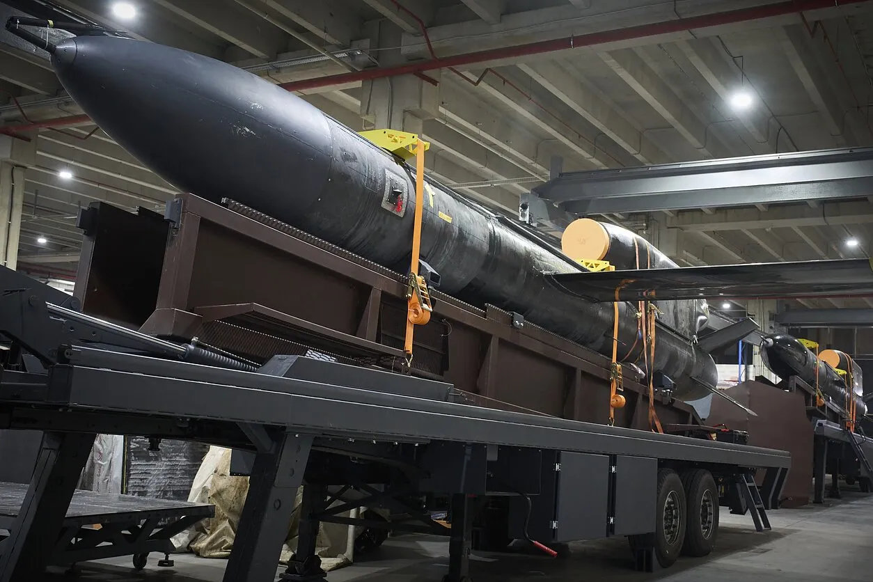 Україна зробила достатні запаси ракет, щоб стримувати росію — датський експерт Україна зробила достатні запаси ракет, щоб стримувати росію — датський експерт