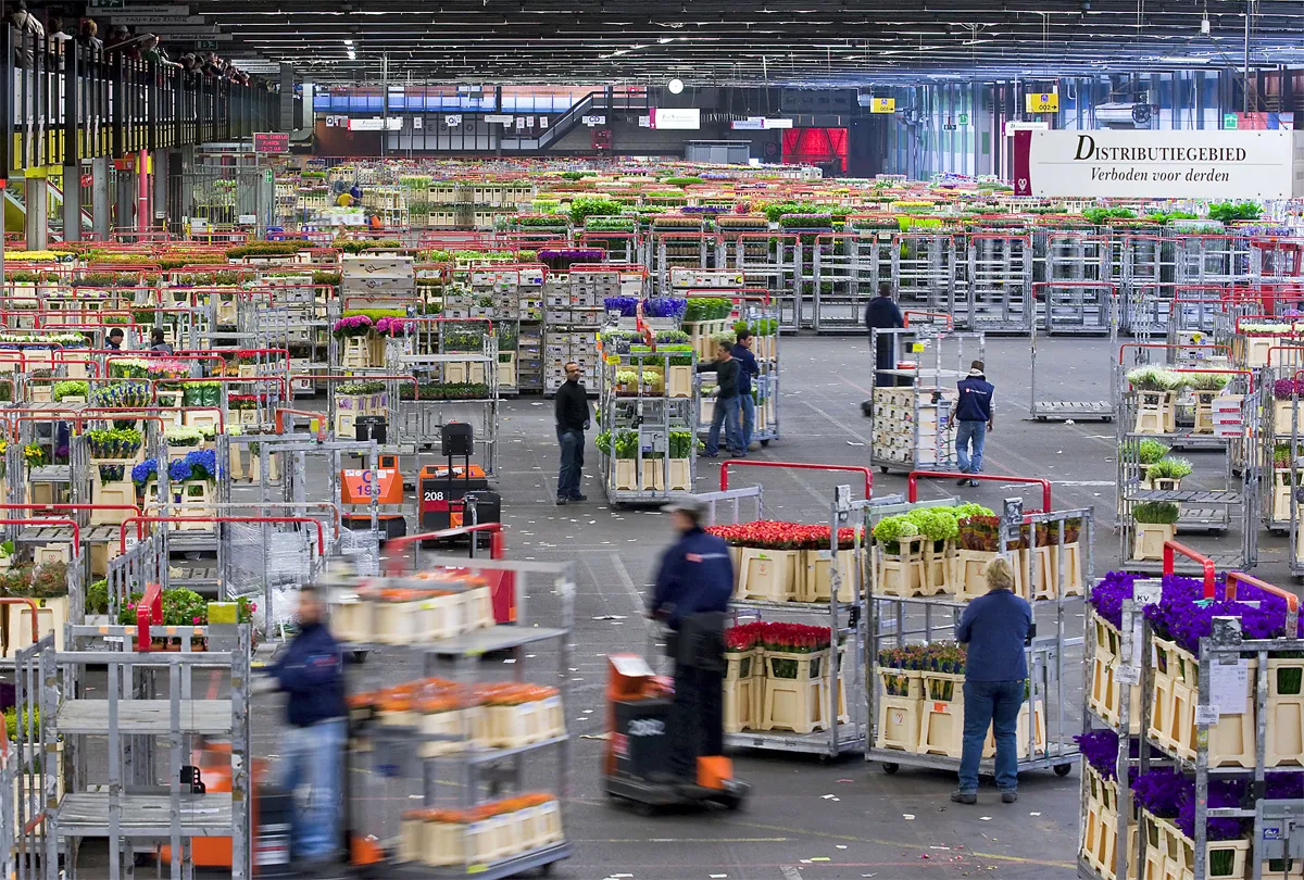 A trade war has broken out between Iran and Armenia over flowers