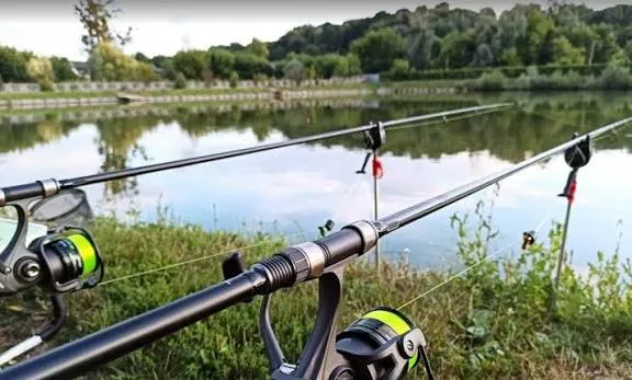 Fishing Calendar for August 3–9, 2026: Tips for Catching Carp, Pike, and Zander