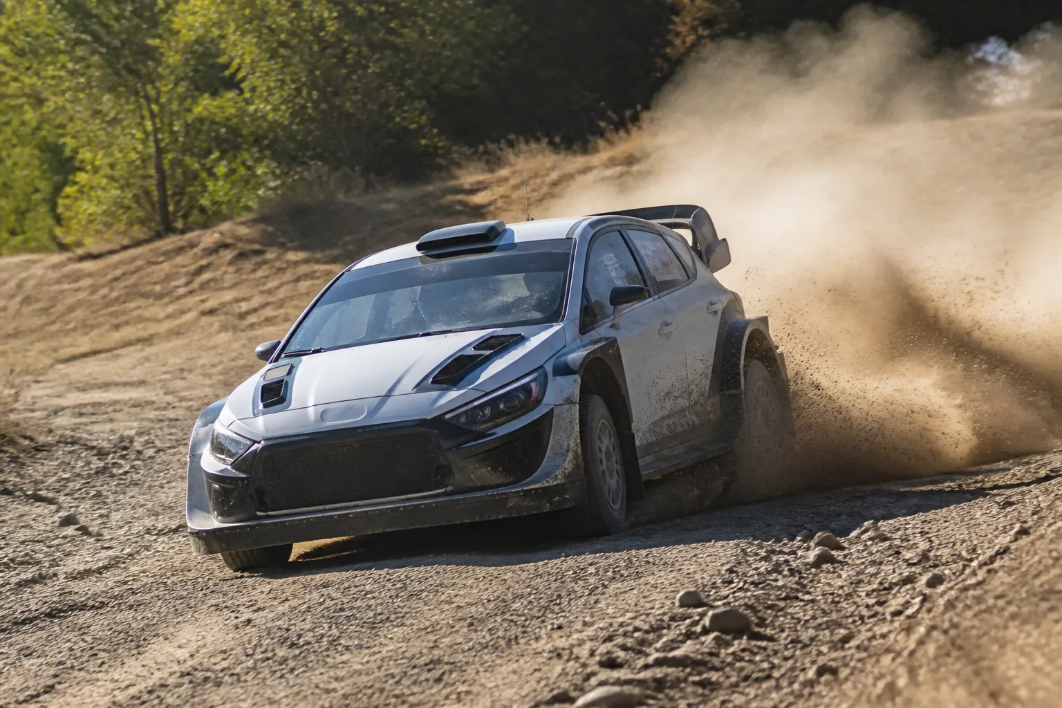Глава Ford заявил о стремлении сделать раллийные автомобили более доступными