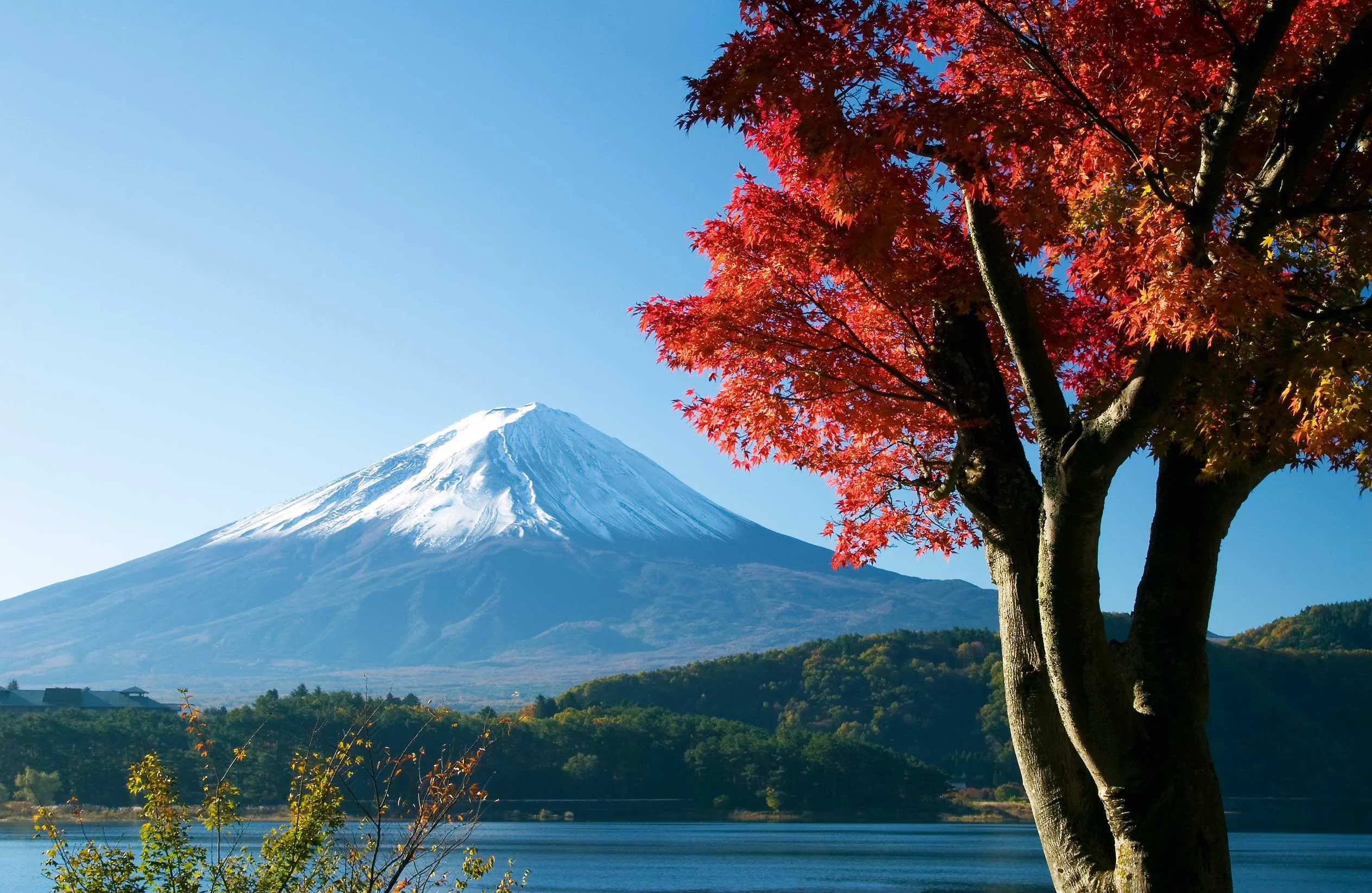 Święto 11 sierpnia 2026 r.: Japonia obchodzi Dzień Gór