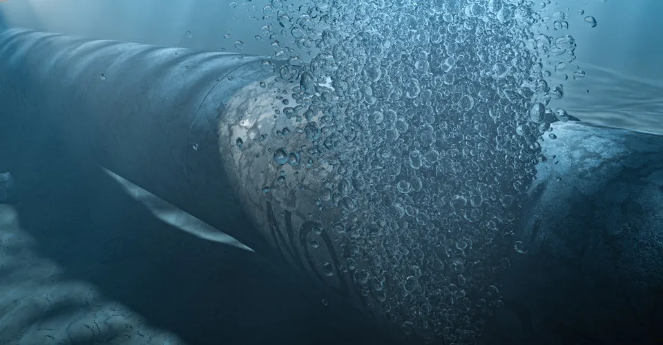 Українська команда могла обговорювати підрив «Північних потоків» із ЦРУ, — Spiegel