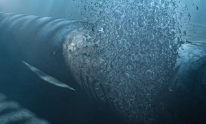 Українська команда могла обговорювати підрив «Північних потоків» із ЦРУ, — Spiegel