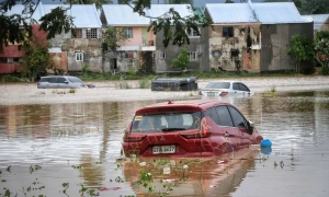 Президент Німеччини закликав Китай тиснути на росію для закінчення війни