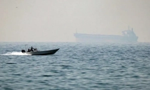 Болгарія припиняє експорт деревини до третіх країн: що сталося