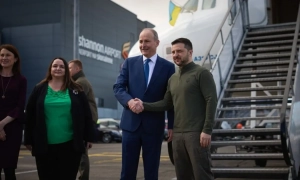 Кішки голосніше кричать на чоловіків через їхню неуважність