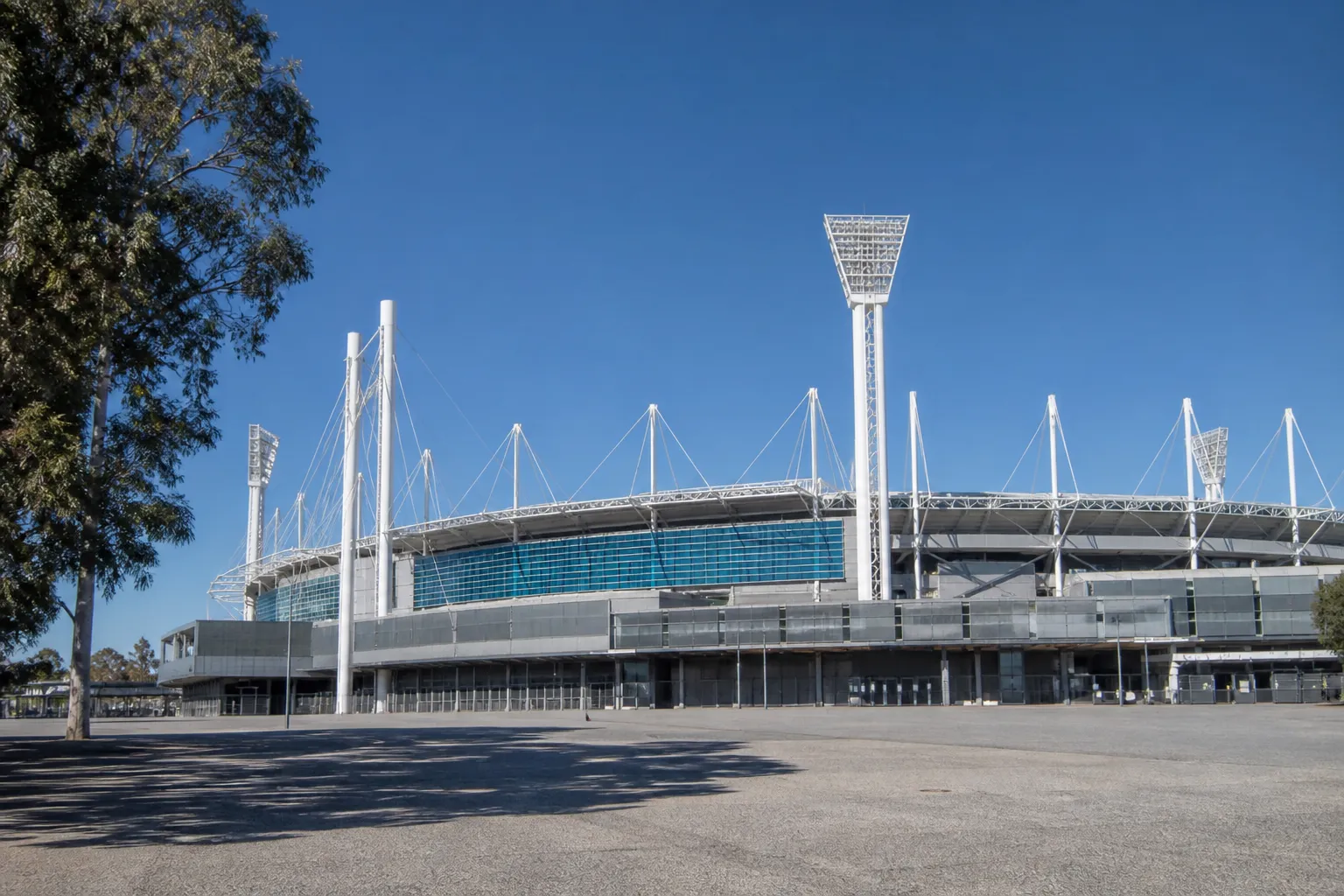 Geelong Cats因脑震荡协议被罚14万澳元
