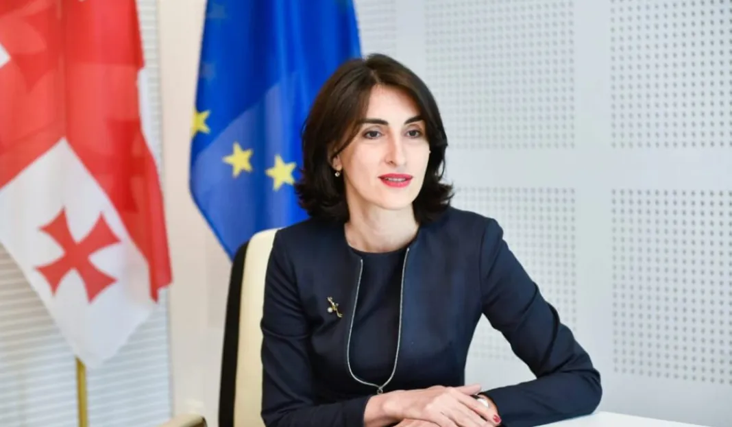 Грузія звинуватила Україну в перешкоді вступу в ЄС