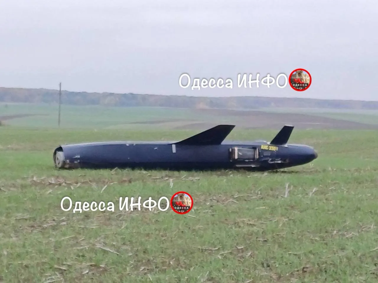 В Одесской области упала малогабаритная крылатая ракета РФ неизвестного типа