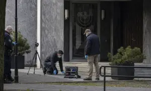 Swedish 18-year-old sentenced for online crimes — The Guardian