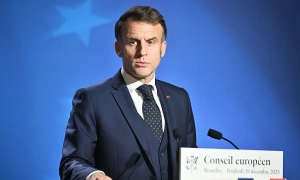 У США викрали живих лобстерів на $400 тисяч — Fox News