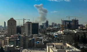 Бельгія відкликає з Південної Кореї посла, дружина якого вдарила працівницю магазину. Інцидент потрапив на відео