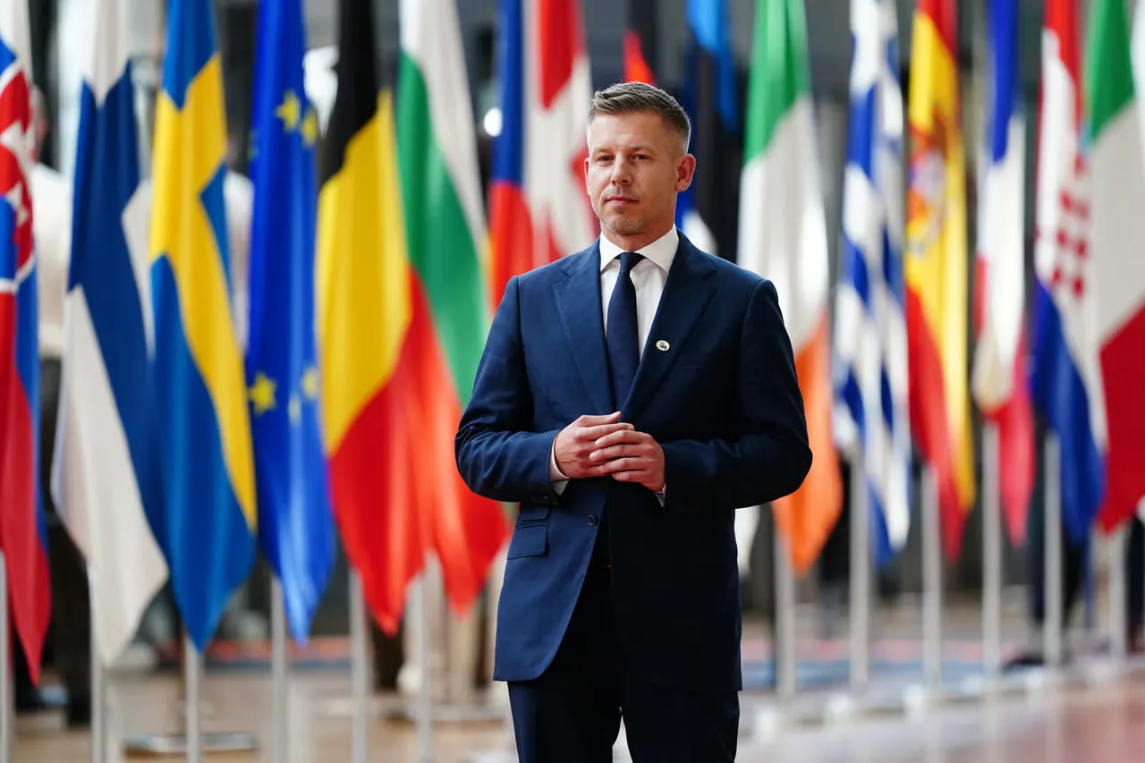 Угорщина блокує відкриття решти переговорних кластерів для України та Молдови