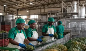 Ghana abolishes 20% excise duty on locally produced fruit juices — MyJoyOnline