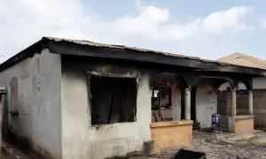 Быстро увеличивается: в Тихом океане появился новый остров