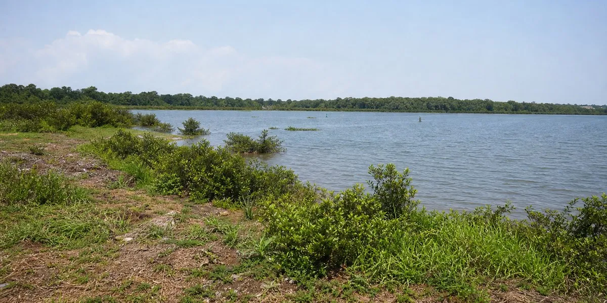 Ghana orders restoration of Kpeshie Lagoon ecosystem