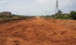 Коронавирусом заболели более 60 тысяч жителей 27 стран, опубликован список