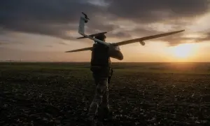 В Іспанії випустили зубрів для боротьби з лісовими пожежами