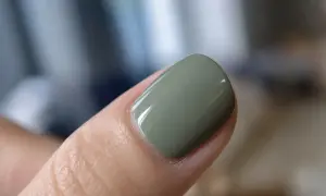 У Тайвані застерегли від переїдання під час Свята середини осені — Taipei Times