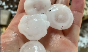 Винищувачі F-16 не є ключовою необхідністю для України - радник Байдена