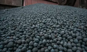 Агропродукція забезпечила 60% українського експорту у 2026 році