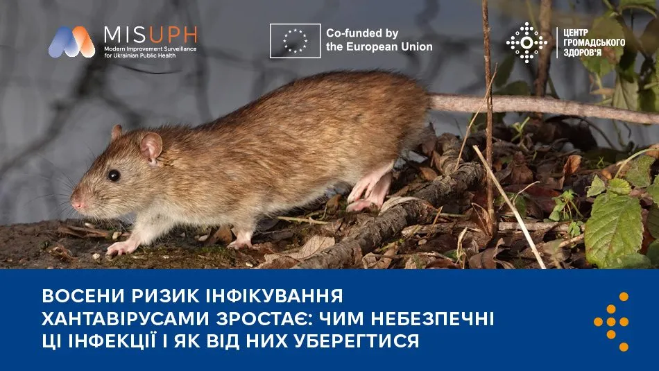 В Україні зафіксовано 160 випадків хантавірусу, що вражає нирки