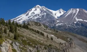 ШІ допомагає математикам досліджувати загадки простих чисел — The Hindu International