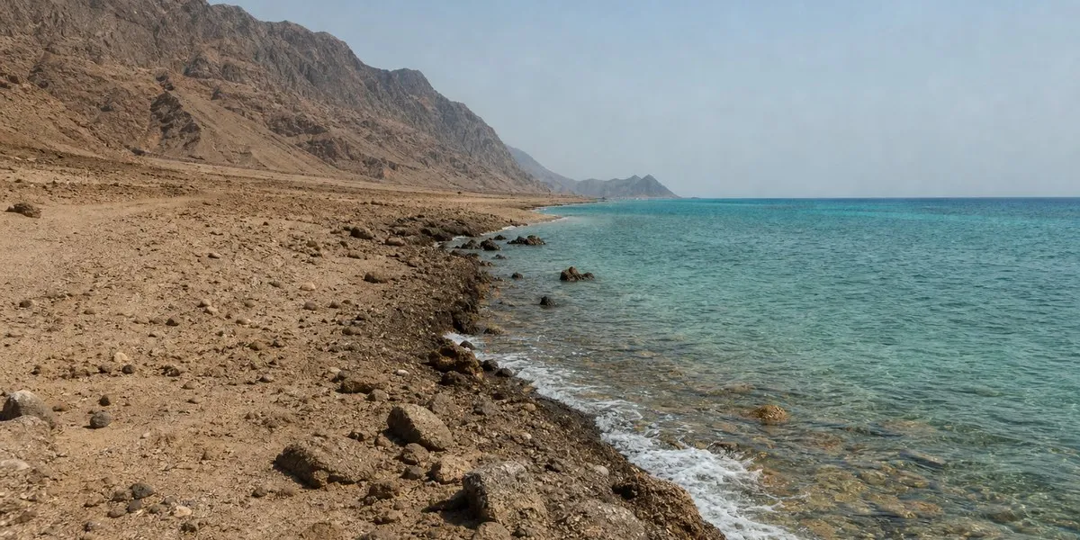 Houthis report 26 Saudi strikes in one day — The Hindu