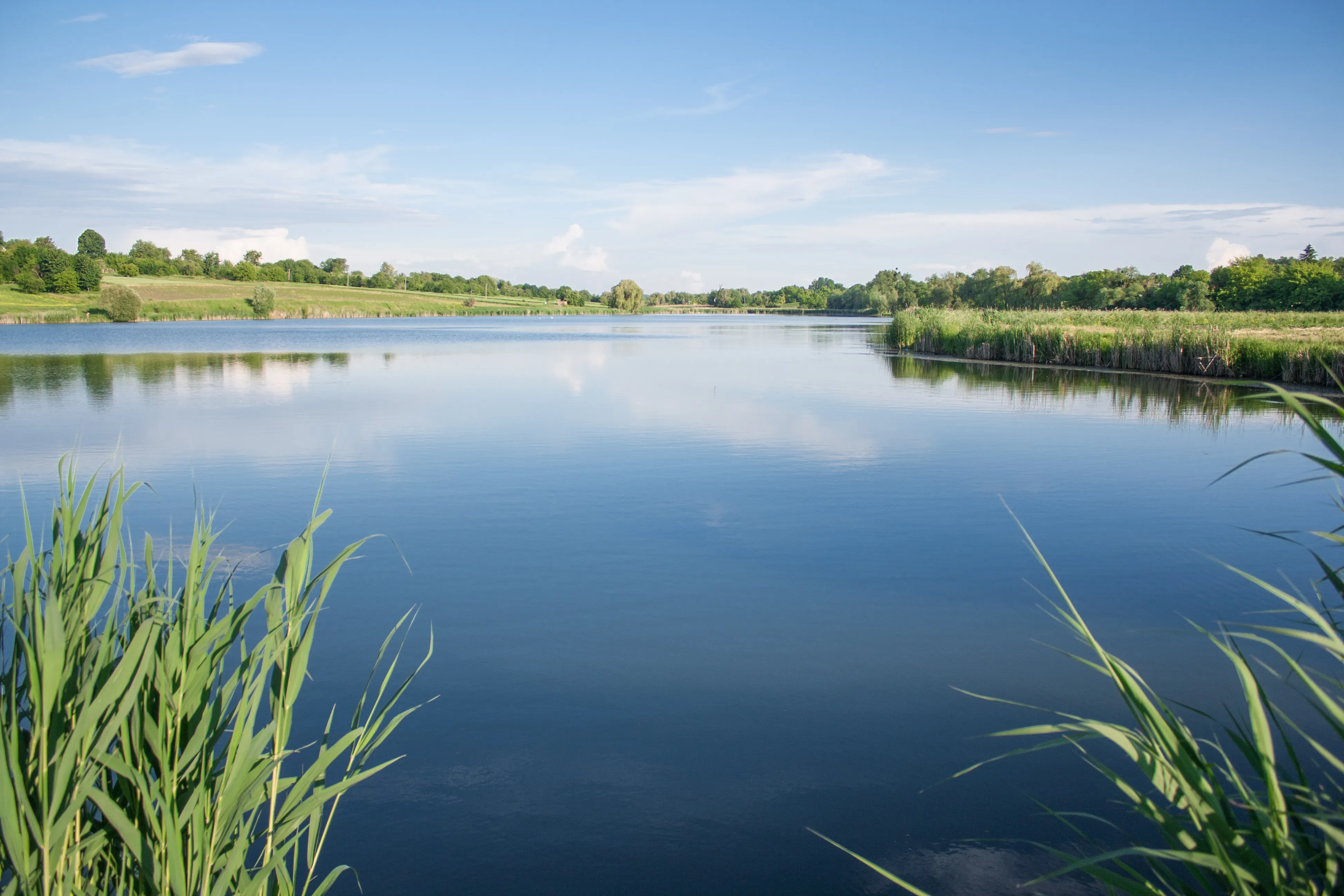 На Київщині повернули у власність держави 29 ставків