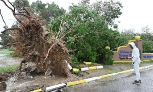 Червоний Хрест запросив 75 млн доларів для постраждалих від землетрусу в Туреччині
