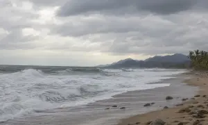 沙尼·卢克的父亲退出以色列议会选举并支持奥费尔·温特——《耶路撒冷邮报》