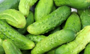  Трамп не запросить до своєї адміністрації Гейлі та Помпео