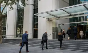 自由潜水员在威尔士海岸附近发现巨型水母